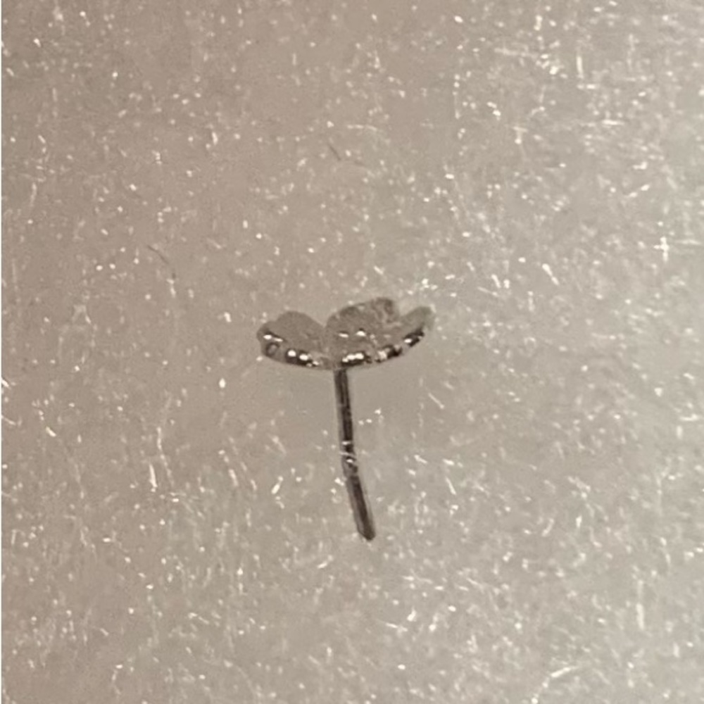 Bvla white gold a simple daisy earring - Picture 2 of 3